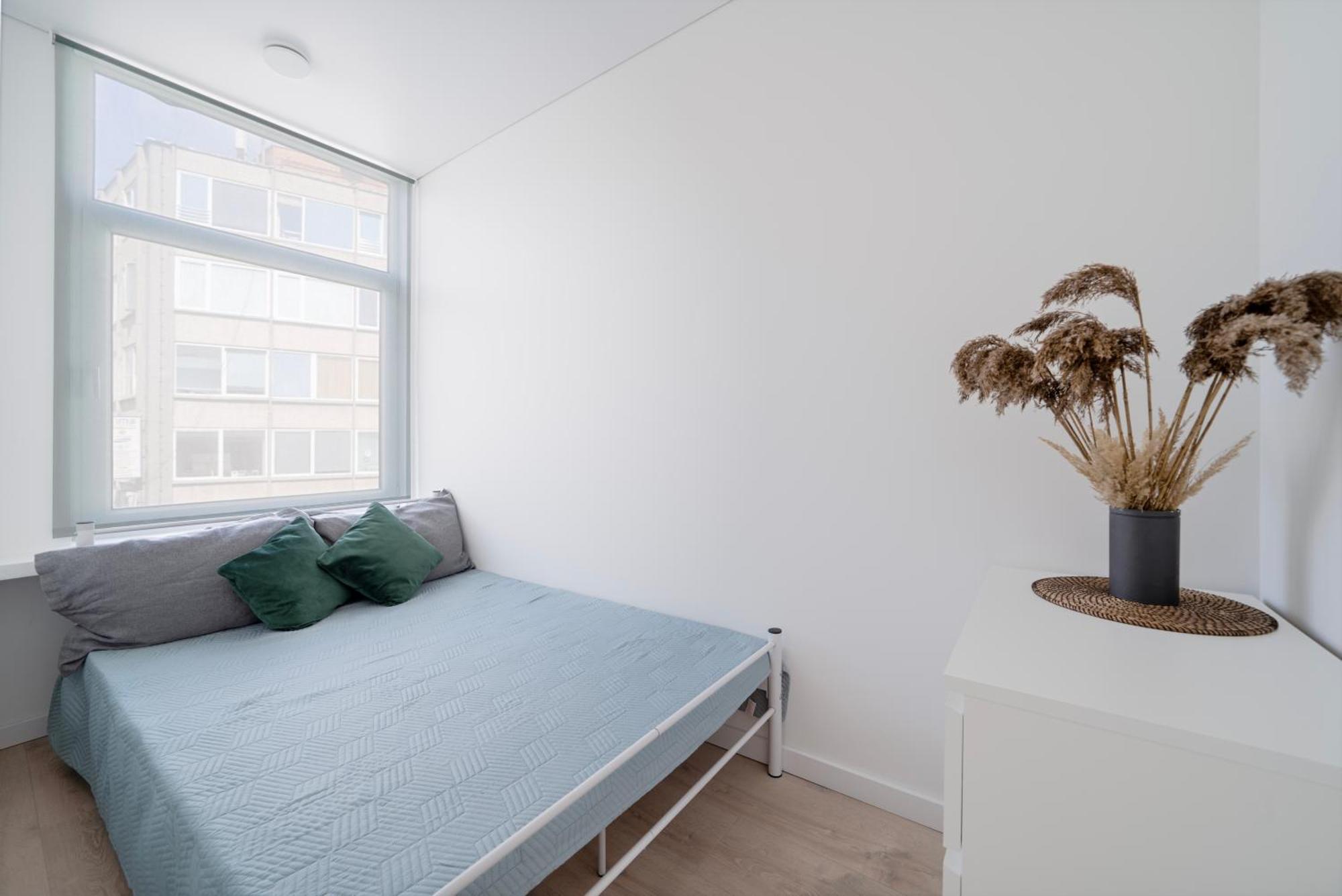 Cozy 1bedroom With Sofa Bed - Sleeps 4 Apartment Vilnius
